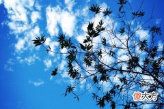 带什么东西辟邪防小人最厉害的