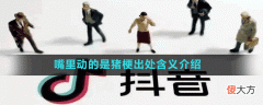 嘴里动的是猪是什么梗| 嘴里动的是猪是什么梗