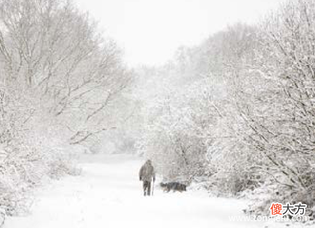 什么是暴雪预警信号 「趣味知识小百科：自然灾害篇」暴雪的防范与应对
