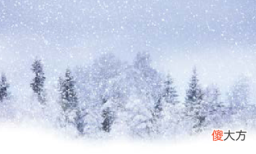 什么是暴雪预警信号 「趣味知识小百科：自然灾害篇」暴雪的防范与应对