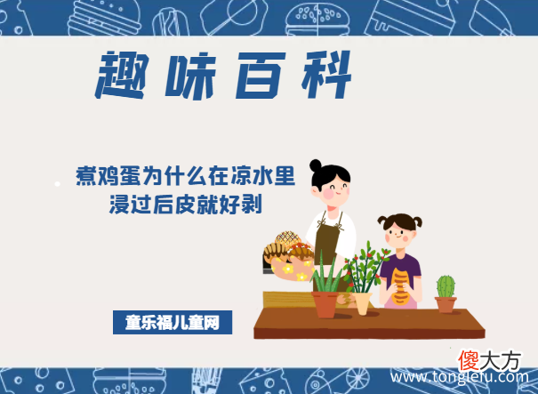 「趣味知识小百科：我们身边的科学知识」煮鸡蛋为什么在凉水里浸过后皮就好剥