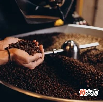 技贸破冰与筑篱_咖啡进口知多少