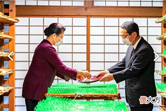 【爱历史】日本皇室举行亲蚕礼，雅子皇后从容收茧，健康还是让人担心