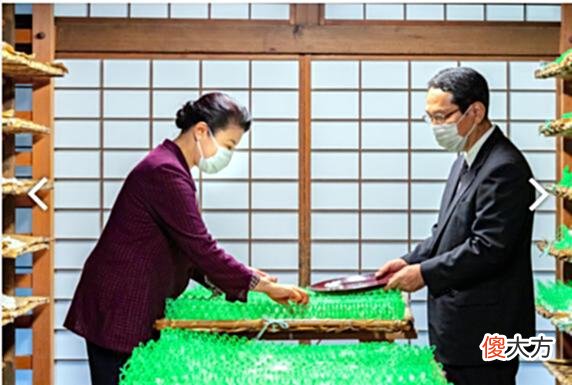 【爱历史】日本皇室举行亲蚕礼，雅子皇后从容收茧，健康还是让人担心