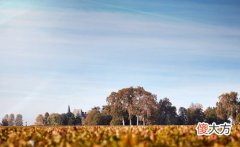 开酒庄怎么赚钱 开红酒庄赚钱吗