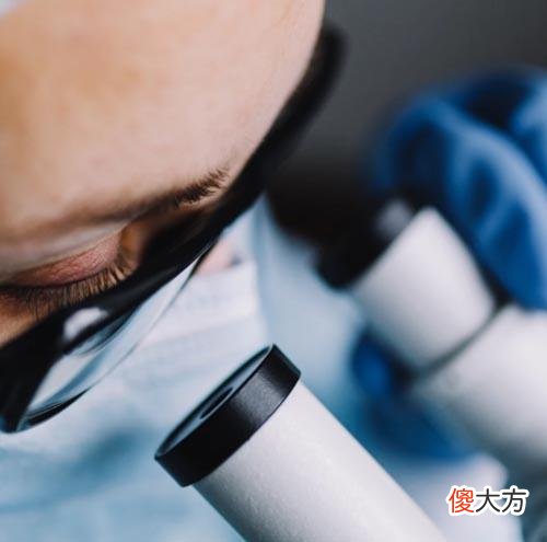 基因检测是什么 基因检测是什么意思