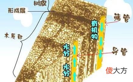 一 阴阳五行基础讲解 阴阳五行的密码——用科学解读阴阳五行