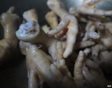 根本停不下来的风味卤鸡爪 卤鸡爪没味道