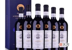 天鹅庄探索系列干红葡萄酒价格