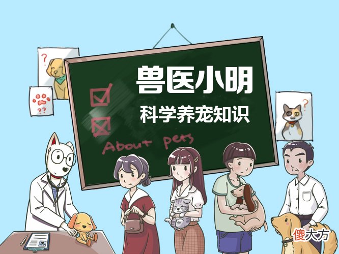 论狗狗吃甜食的危害 狗狗吃甜食的害处