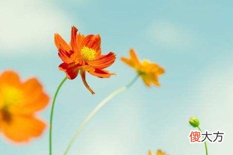 五行相克关系土克水什么意思