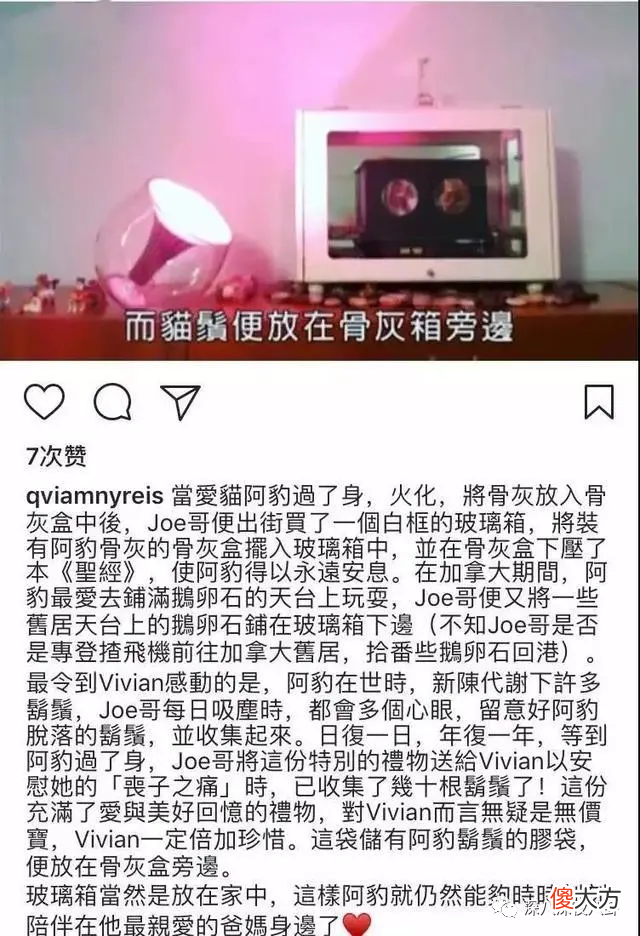 真的有浪子回头金不换吗 都说浪子回头金不换,浪子会回头吗