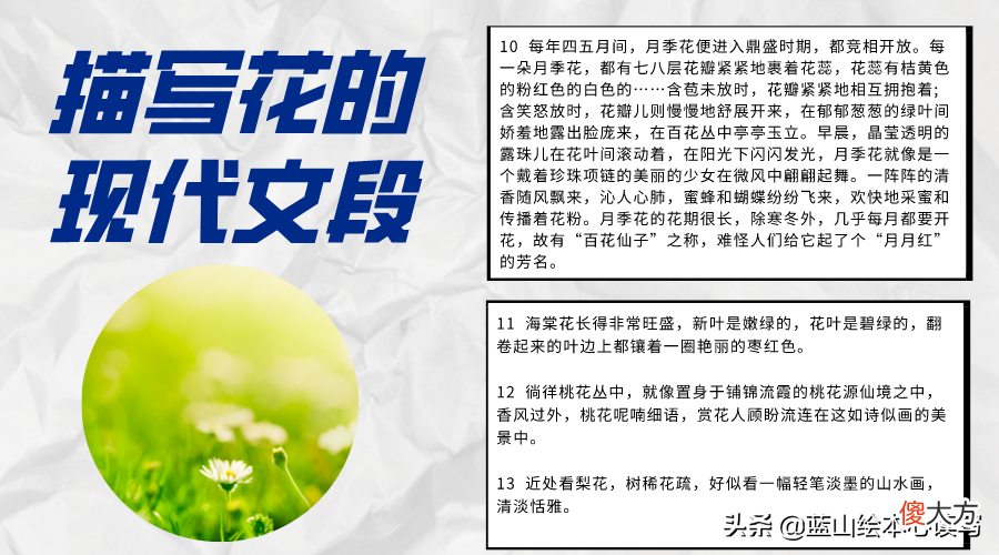 一年四季的花 一年四季的花有哪些