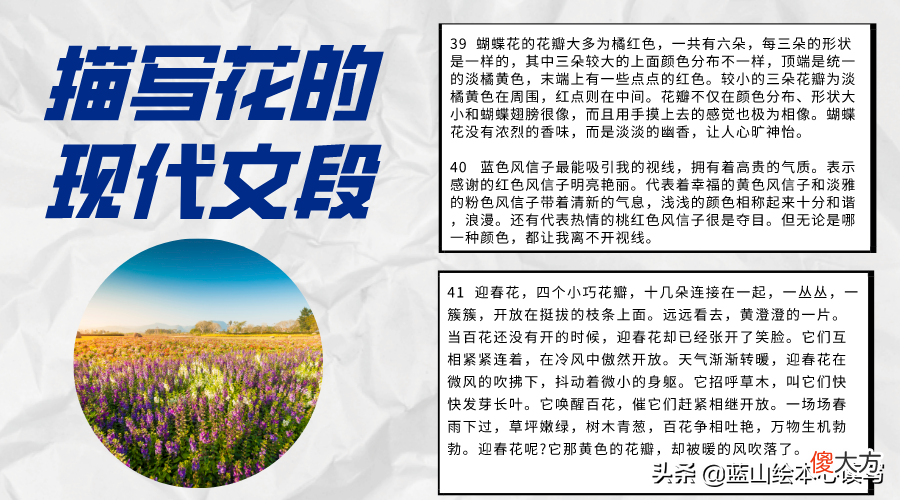 一年四季的花 一年四季的花有哪些