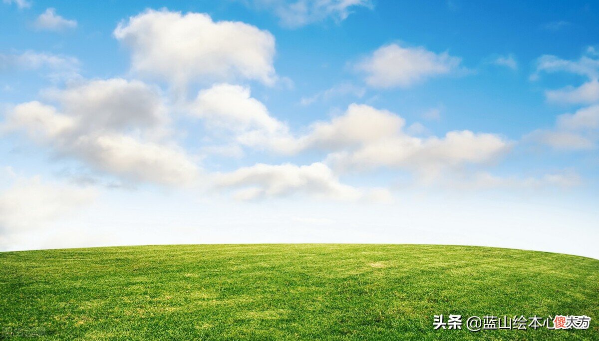 一年四季的花 一年四季的花有哪些