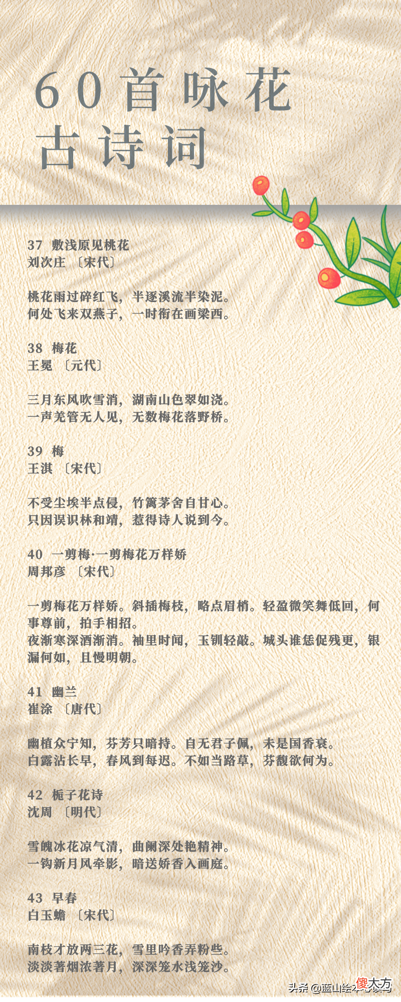一年四季的花 一年四季的花有哪些