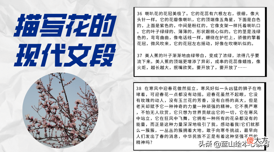 一年四季的花 一年四季的花有哪些
