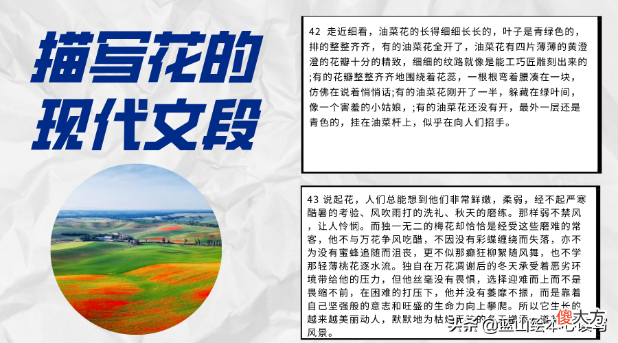 一年四季的花 一年四季的花有哪些