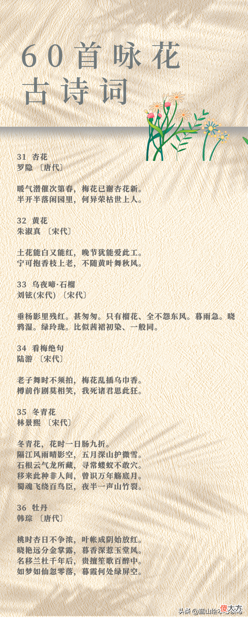 一年四季的花 一年四季的花有哪些