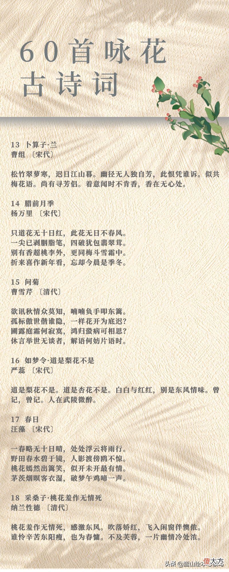 一年四季的花 一年四季的花有哪些