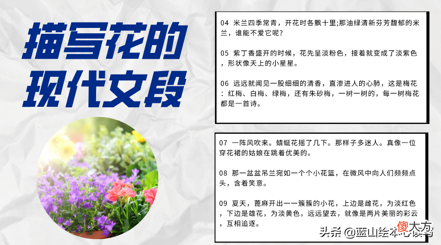 一年四季的花 一年四季的花有哪些