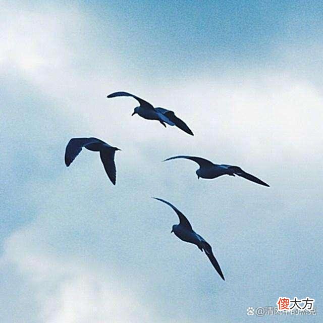 【爱历史】黄飞鸿手中的伞一直都在，你的呢？