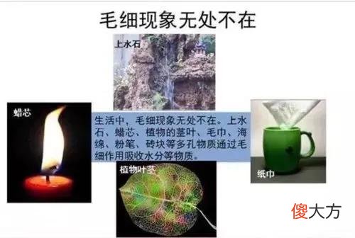为什么立筷子会这么灵 为什么立筷子这么灵