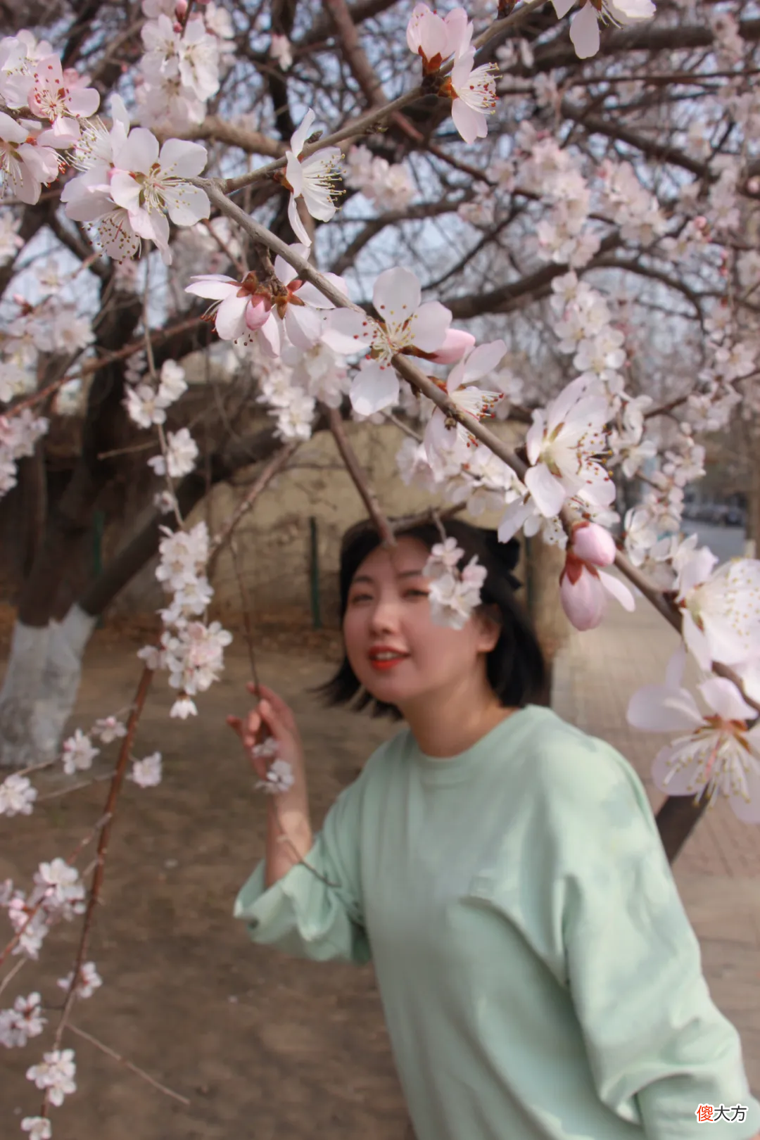 最强赏花拍照攻略 赏花怎么拍照好看