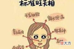 啥面相女人是天生旺夫相