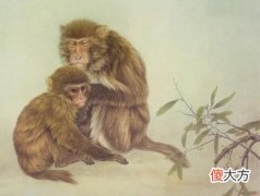 父母有了这三个生肖孩子 父母生肖和孩子生肖