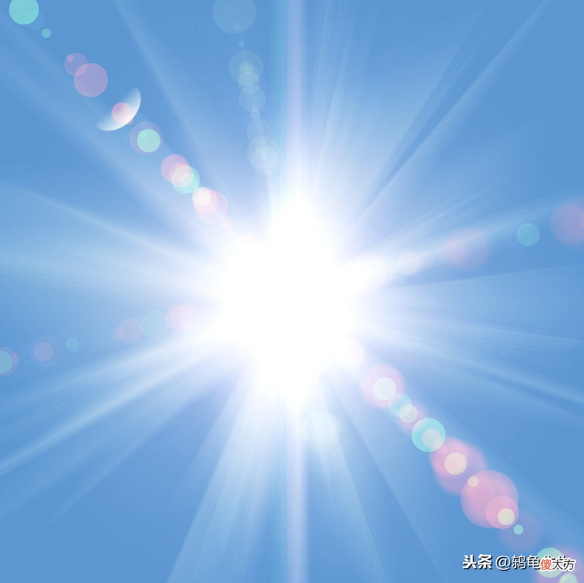 春季养龟要晒太阳吗 养龟一定要晒太阳吗