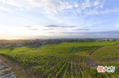 喝葡萄酒有哪些好处喝多少最好 葡萄酒调酒方法