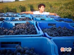 开一家红酒店大概多少钱 开个红酒店铺需要多少钱