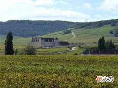 法国红酒加盟品牌大全 法国红酒多少钱