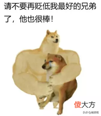 那只活在表情包里的柴犬doge 表情包 柴犬
