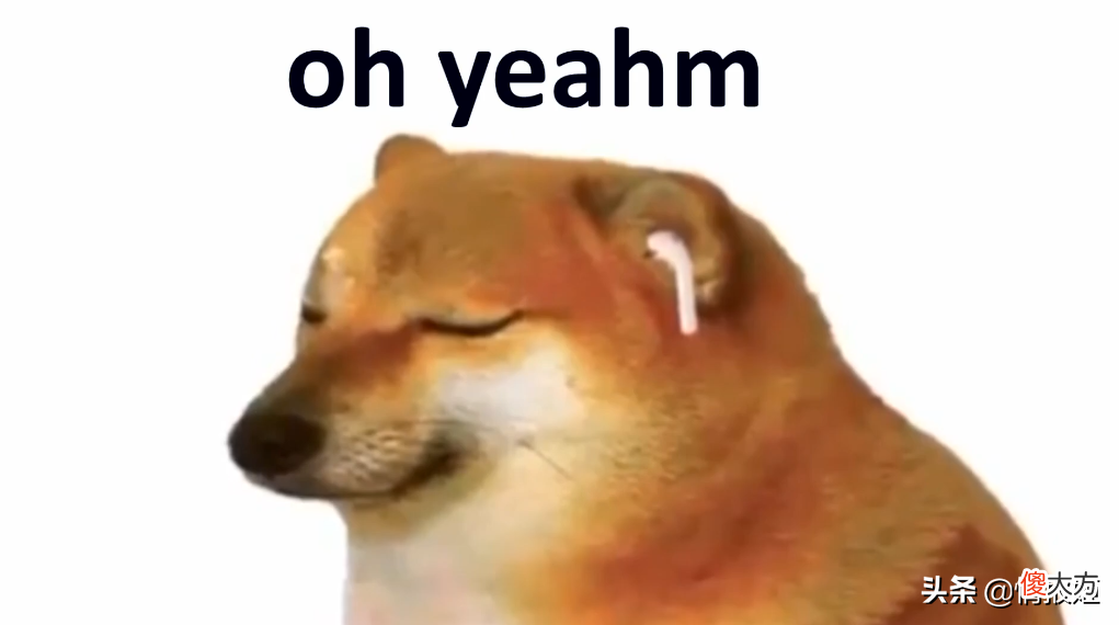 那只活在表情包里的柴犬doge 表情包 柴犬