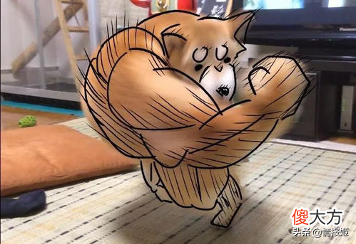 那只活在表情包里的柴犬doge 表情包 柴犬