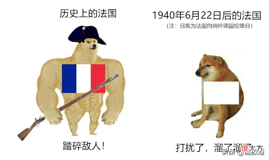那只活在表情包里的柴犬doge 表情包 柴犬