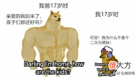那只活在表情包里的柴犬doge 表情包 柴犬