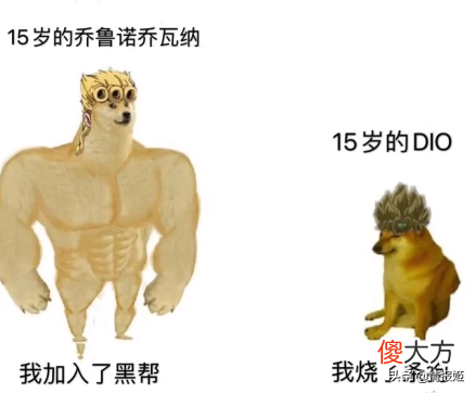 那只活在表情包里的柴犬doge 表情包 柴犬