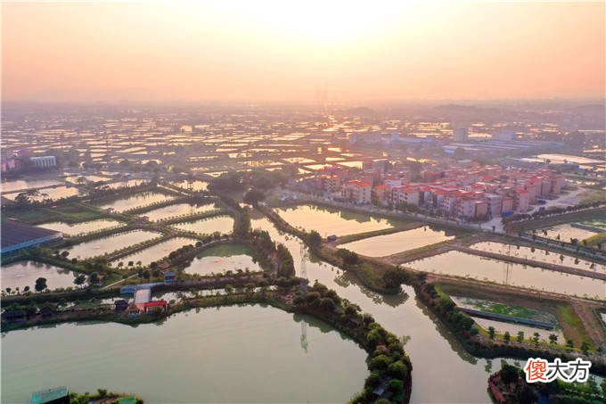【爱历史】广东岭南文化研学夏令营开班，让孩子学习岭南八宝、习武练狮