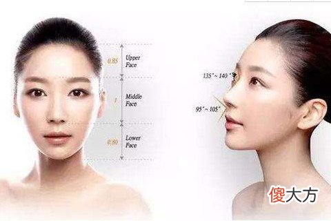 女人面相鼻子代表什么