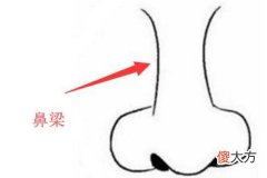 男人的鼻子面相分析
