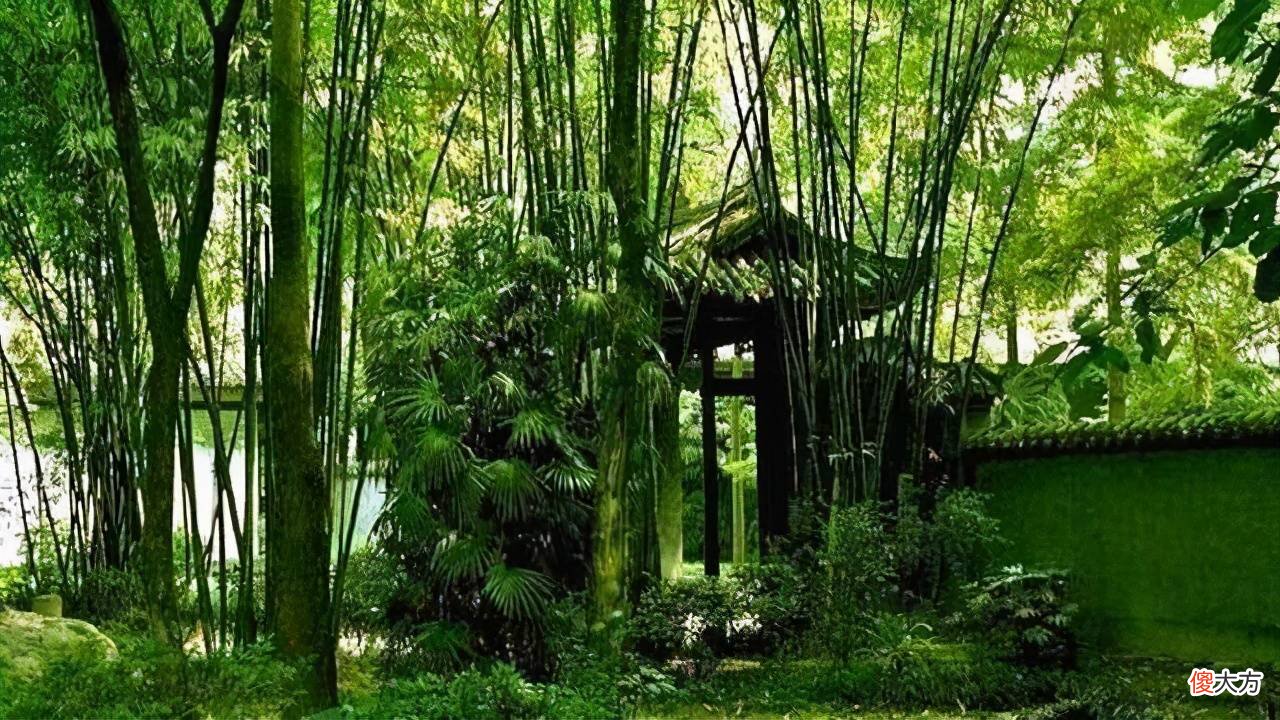 【爱历史】《孙子兵法》:人穷的时候,最应该做的事情是韬光隐晦、卧薪尝胆