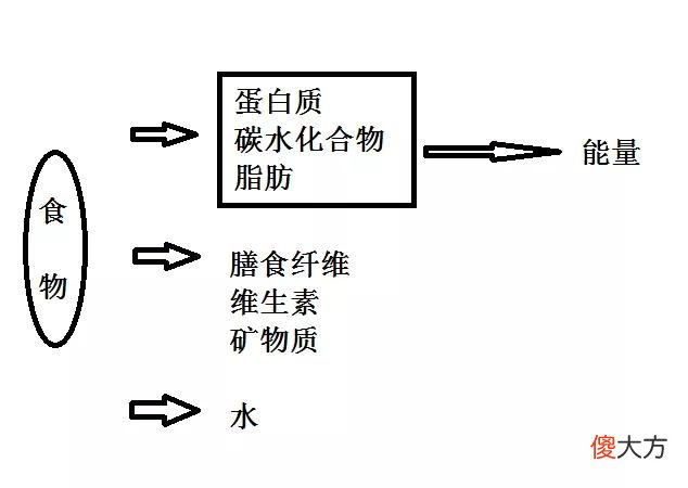 这样计算你每天需要的总能量 计算每日需要总能量
