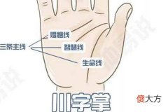 男人川字纹手相命运详解