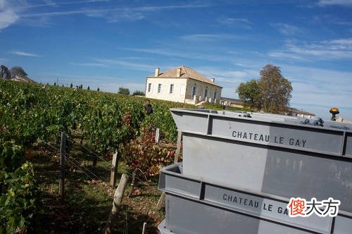 葡萄酒是不是酒精度越高越好 葡萄酒酒精度高低的区别