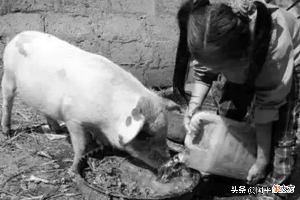农村20世纪80年代都用过的玩意 80年代农村的人都玩过什么