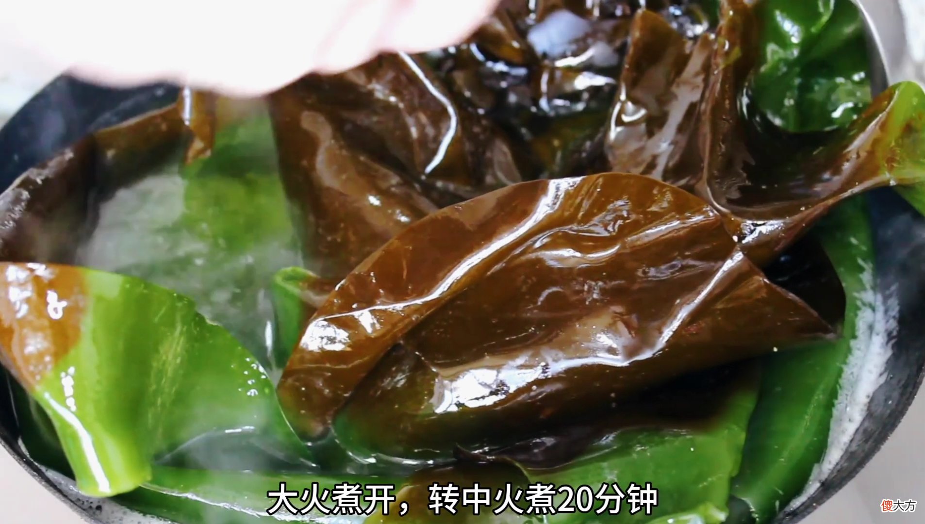 分享新鲜海带的做法 新鲜海带的做法窍门