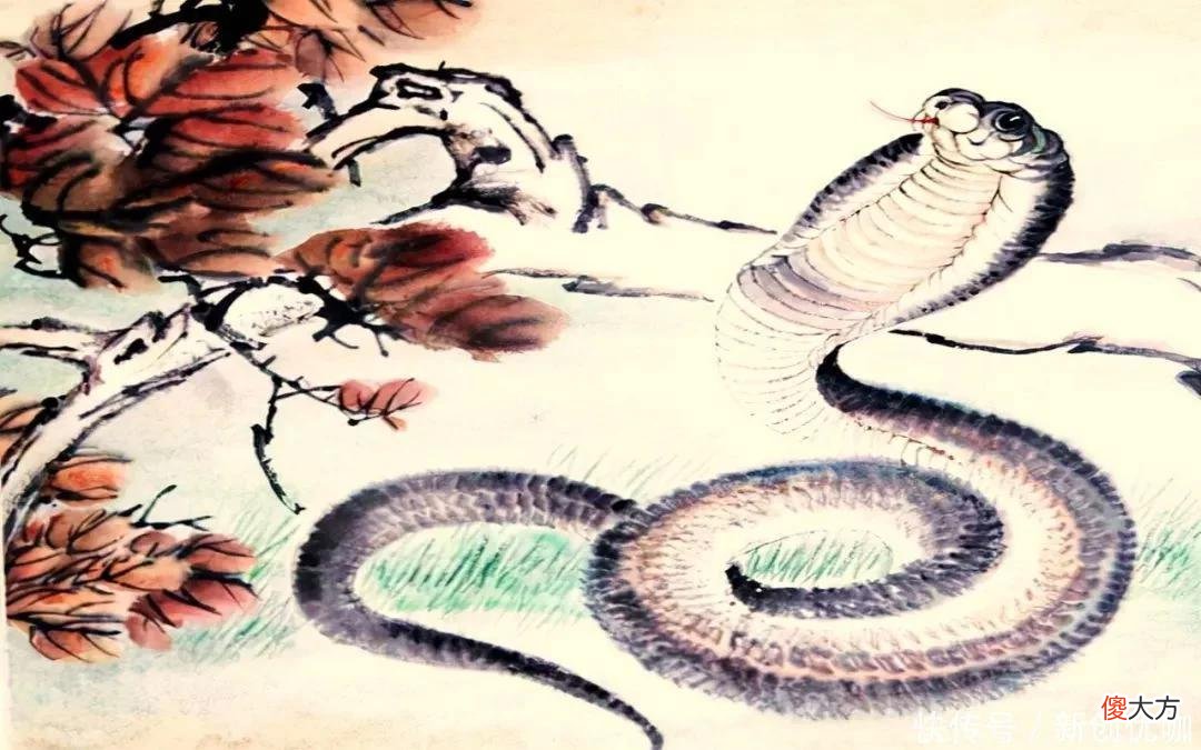 【十二星座】2022下半年，人缘旺，贵人多，事业得遂心愿，财源茂盛的三个生肖